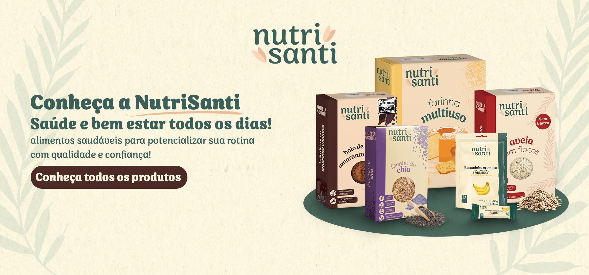 Banner NutriSanti site